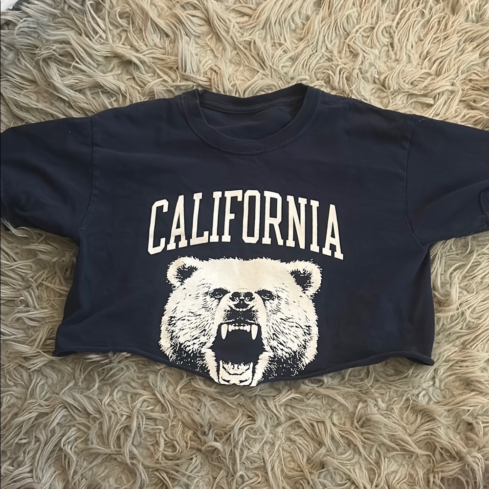Brandy Melville Blue California Bear Crop Top